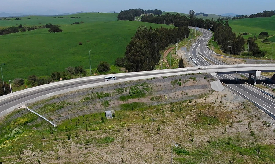 Ruta de la Fruta: un modelo de sustentabilidad en el paisaje chileno